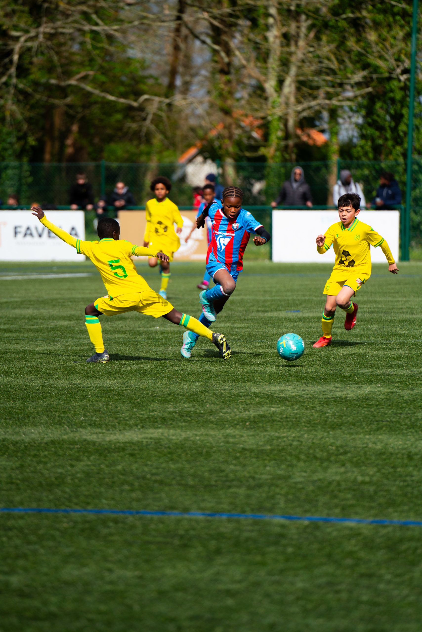 Image de diapositive