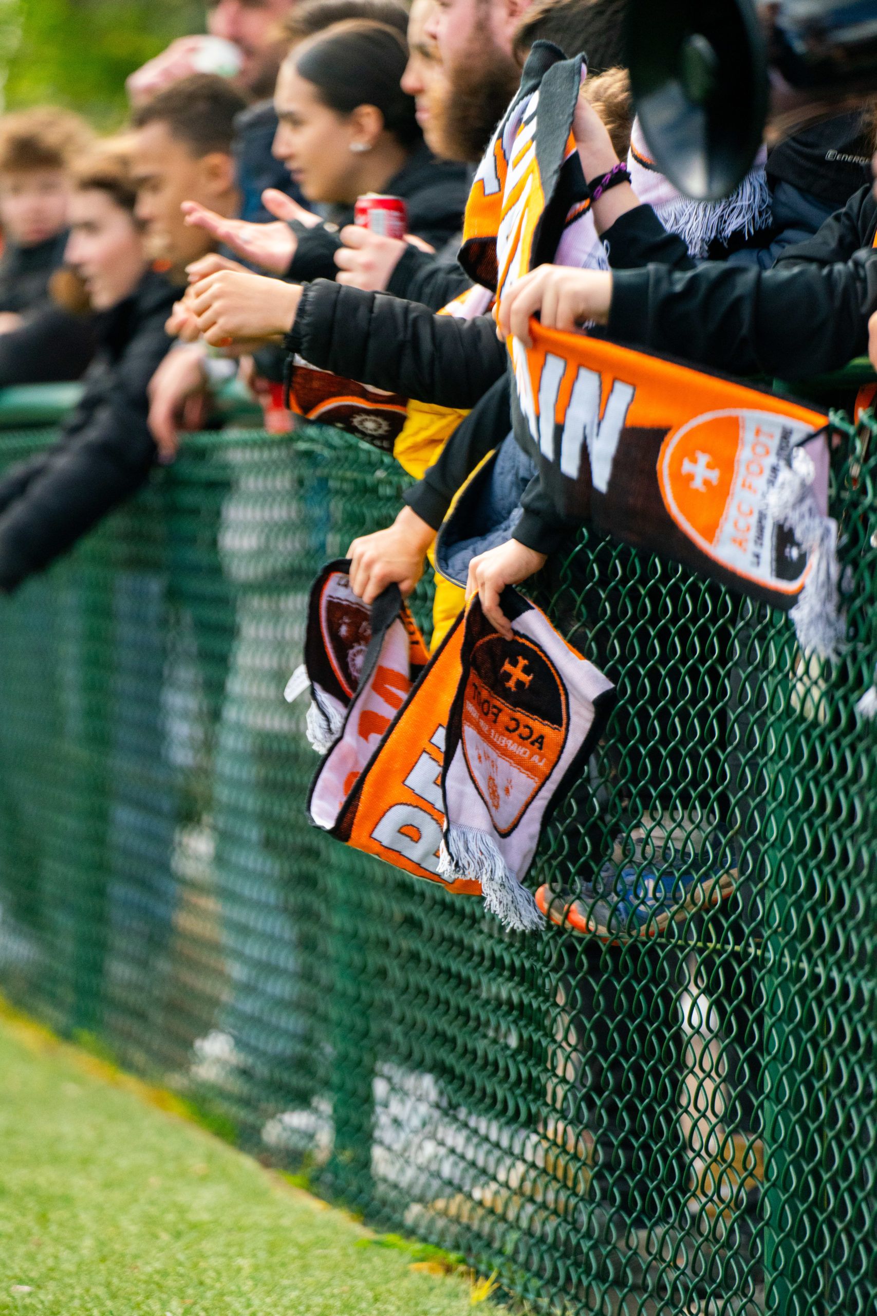 Image de diapositive