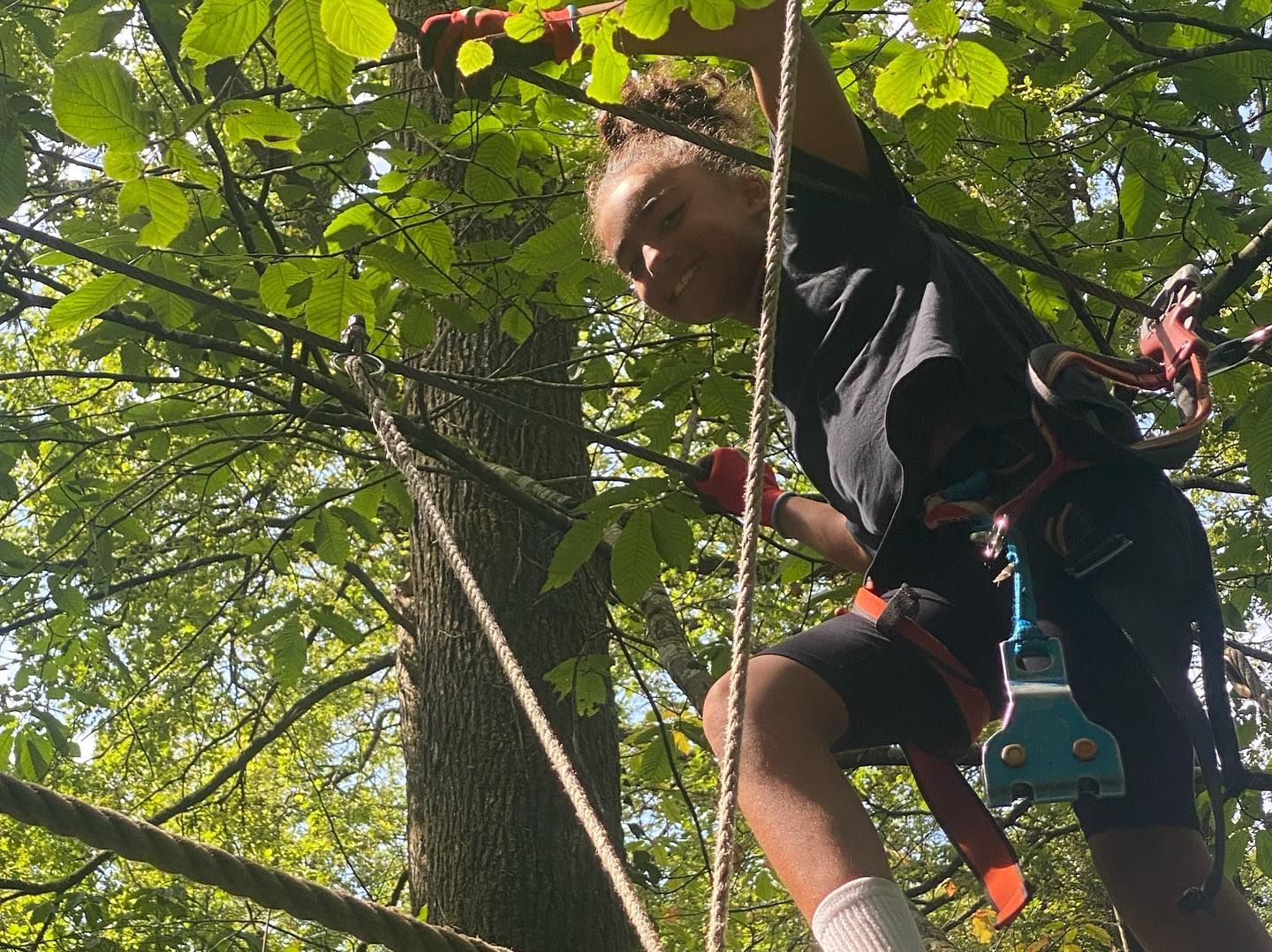 Image de diapositive