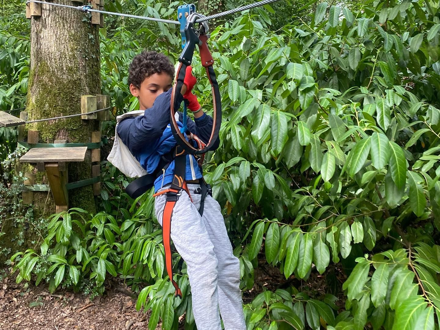 Image de diapositive